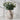 TerraCotta Charm Rustic Ceramic Vase