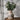 TerraCotta Charm Rustic Ceramic Vase