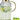 Faye Glass Water Pitcher