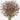 Amber Baby's Breath