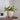 The Arlo Vase