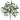 Willow Essence Faux Branches