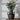 TerraCotta Charm Rustic Ceramic Vase